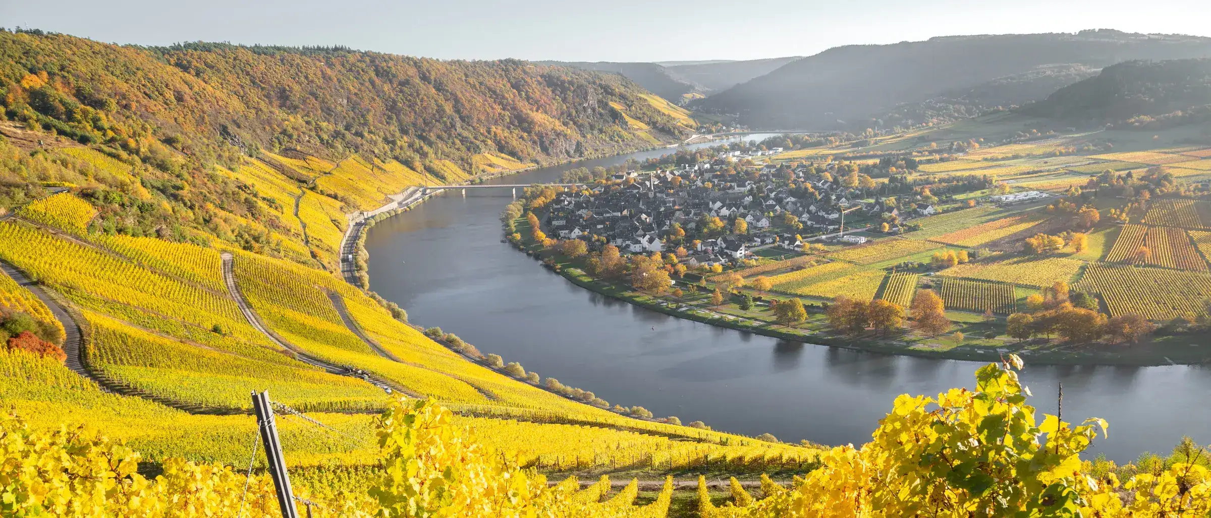 Das Moseltal im Herbst mit Blick auf die Flussschleife